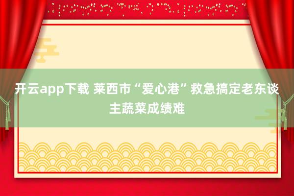 开云app下载 莱西市“爱心港”救急搞定老东谈主蔬菜成绩难